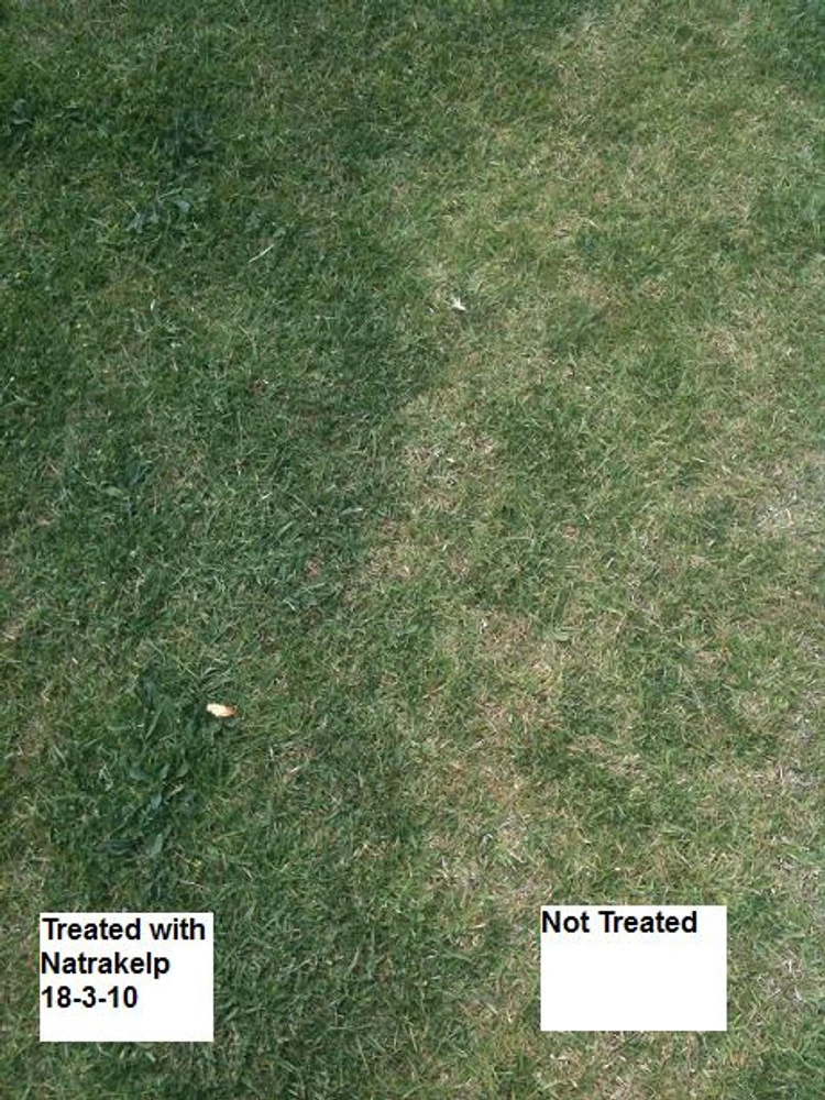 Natrakelp 18-3-10 - Image 2