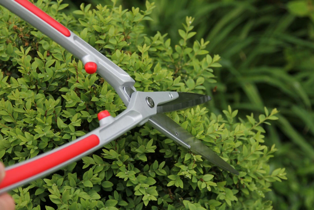 ARS KR1000 Precision Hedge Shears - Image 2
