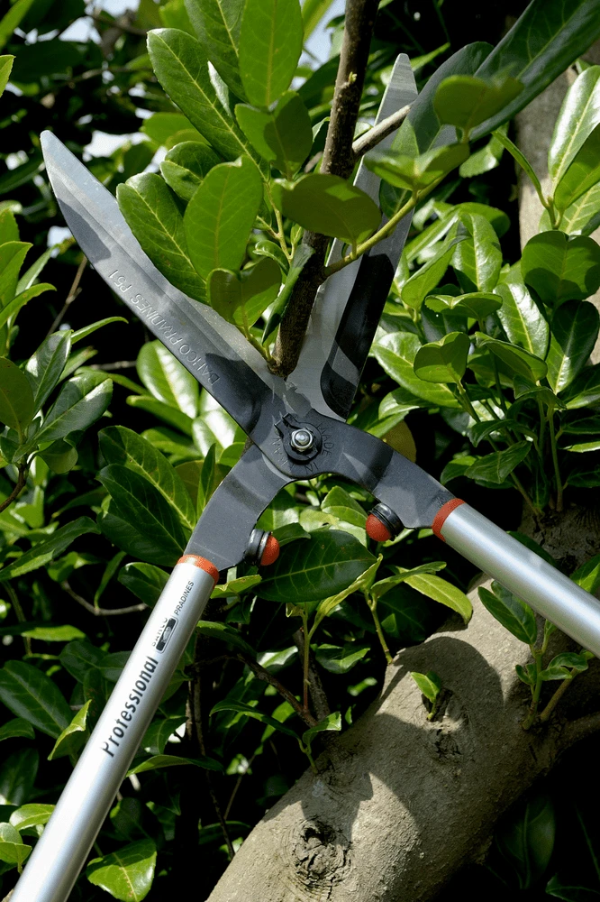 Bahco P51H-SL Extra Long Hedge Shears, Heavy Duty, Lightweight With Aluminium Handle - Image 7