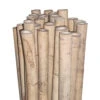 Bamboo Stakes 300cm