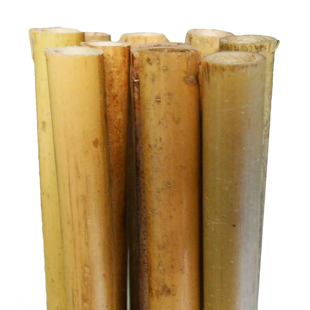 Bamboo Stakes 120cm - Image 2