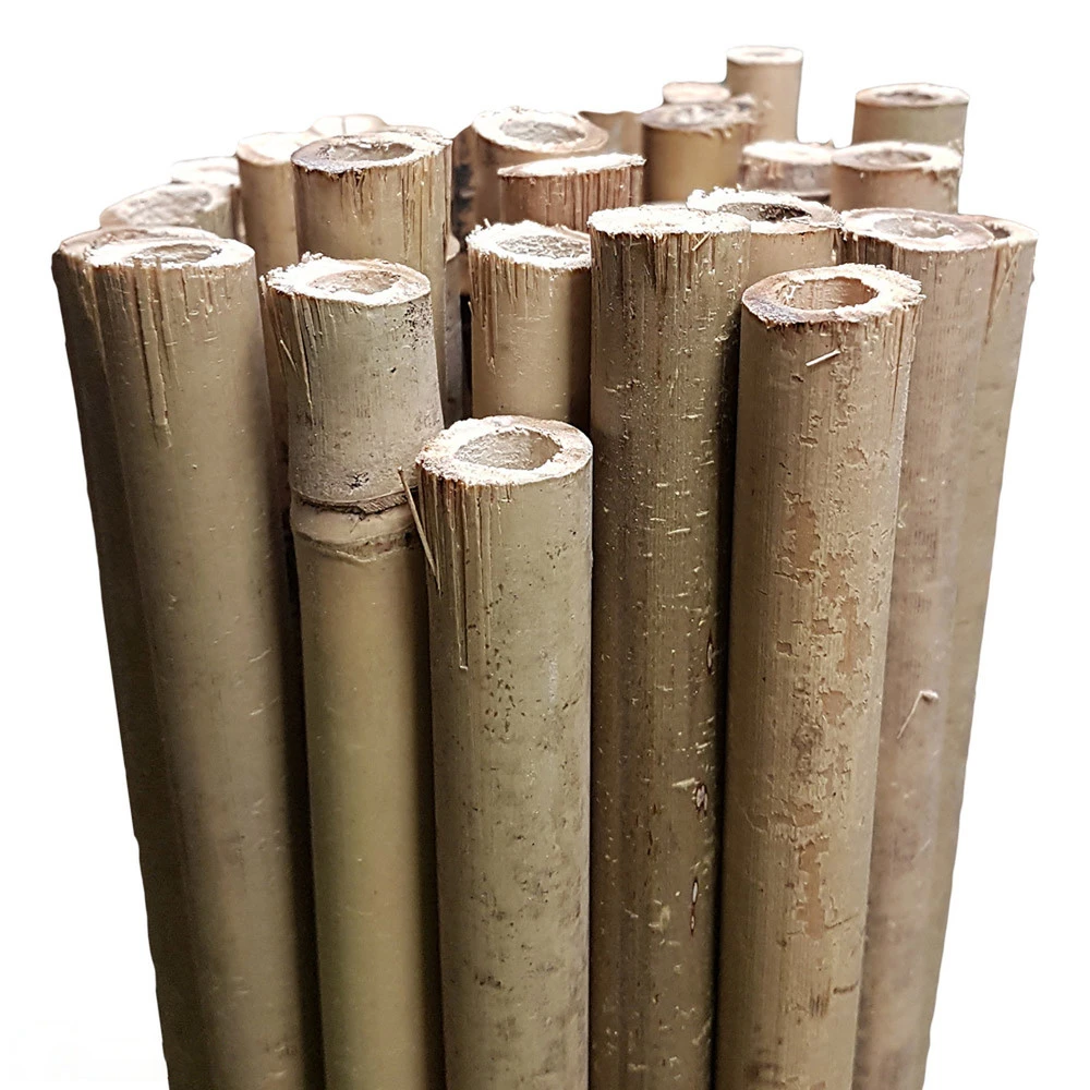 Bamboo Stakes 150cm - Image 2