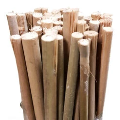 Bamboo Stakes 45cm