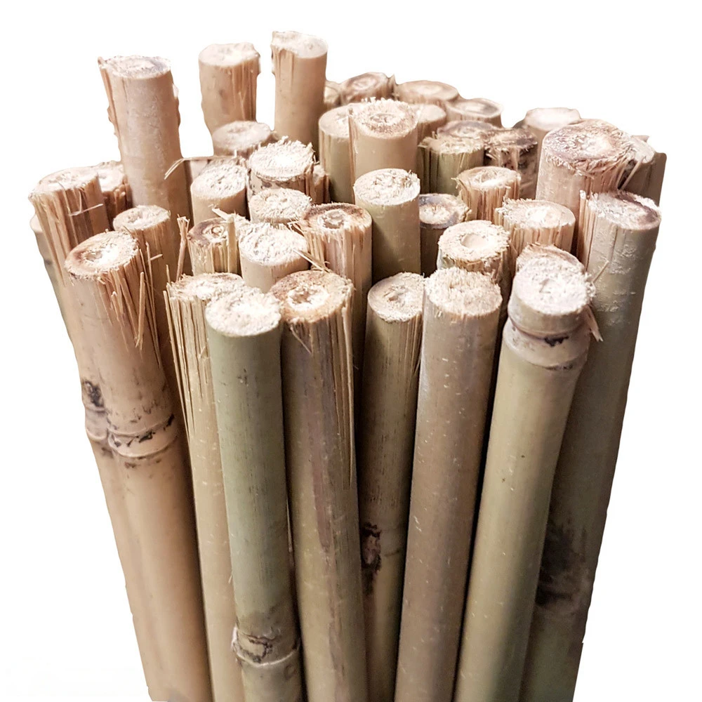 Bamboo Stakes 105cm - Image 2
