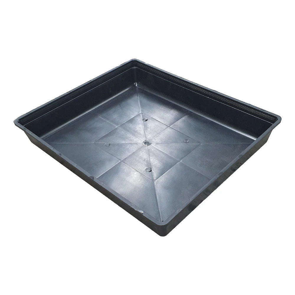 Hydro Grass Seedling Tray - No Holes