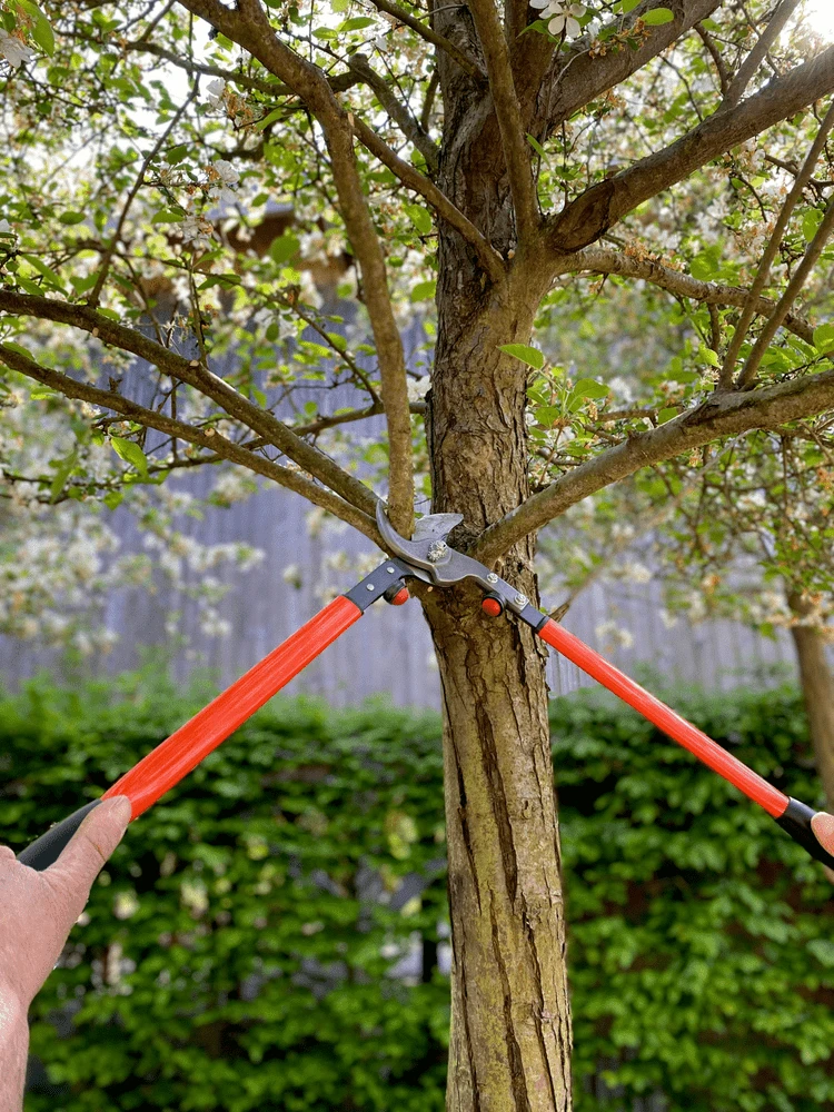 Bahco P16-60-F Professional 30mm Bypass Loppers With Steel Handle - Image 2