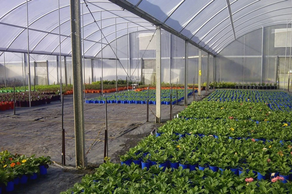 Solarweave Reinforced Plastic Film - Image 4