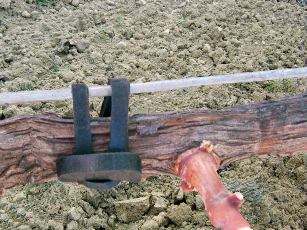 Agrifast Rubberties - Image 4