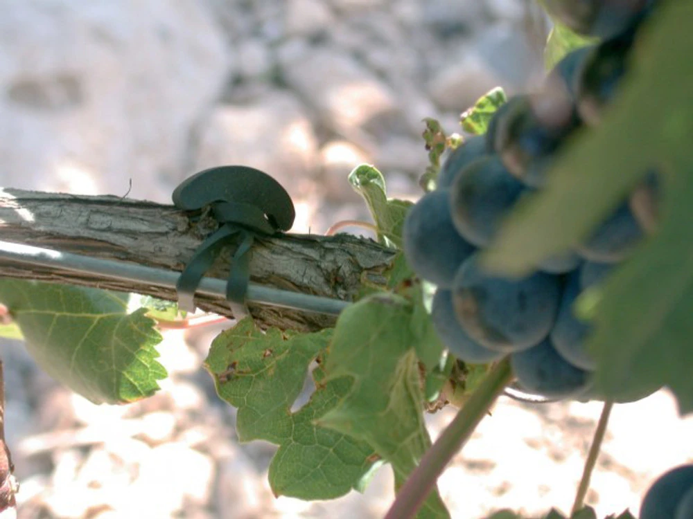 Agrifast Rubberties - Image 5