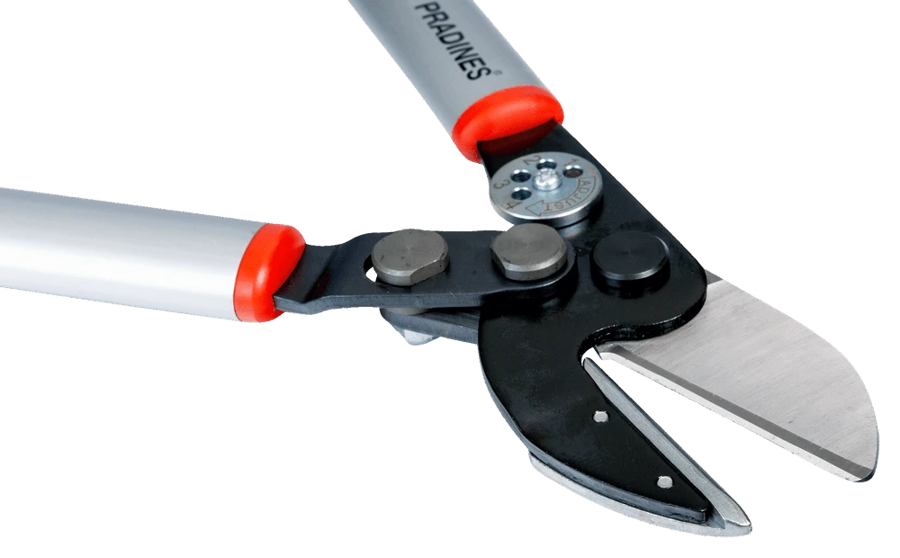 Bahco P173-SL-85 Professional 45mm Anvil Loppers With Lever Action And Aluminium Handle - Image 2