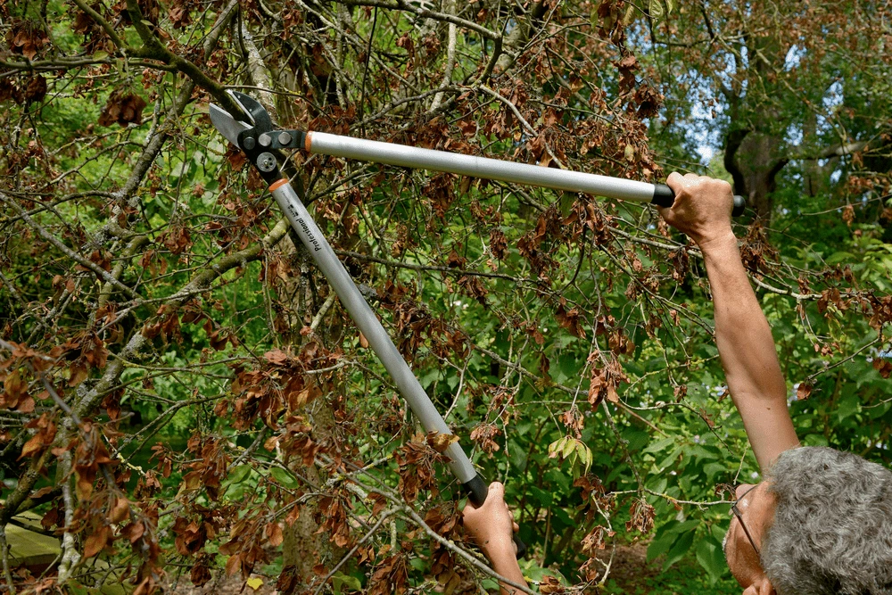 Bahco P173-SL-85 Professional 45mm Anvil Loppers With Lever Action And Aluminium Handle - Image 14