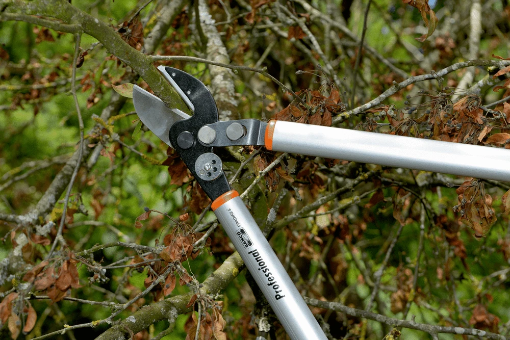 Bahco P173-SL-85 Professional 45mm Anvil Loppers With Lever Action And Aluminium Handle - Image 9