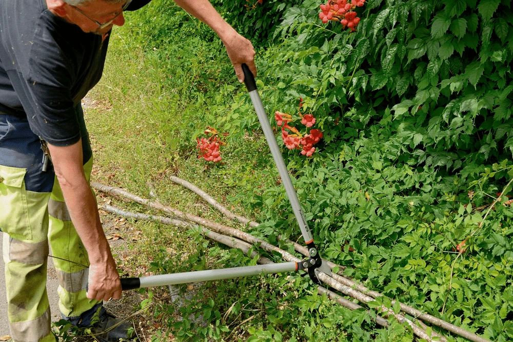 Bahco P173-SL-85 Professional 45mm Anvil Loppers With Lever Action And Aluminium Handle - Image 10