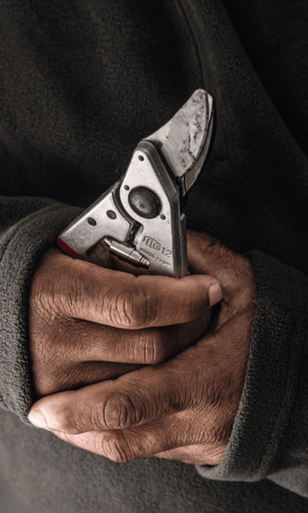Felco 12 Secateurs - Image 2