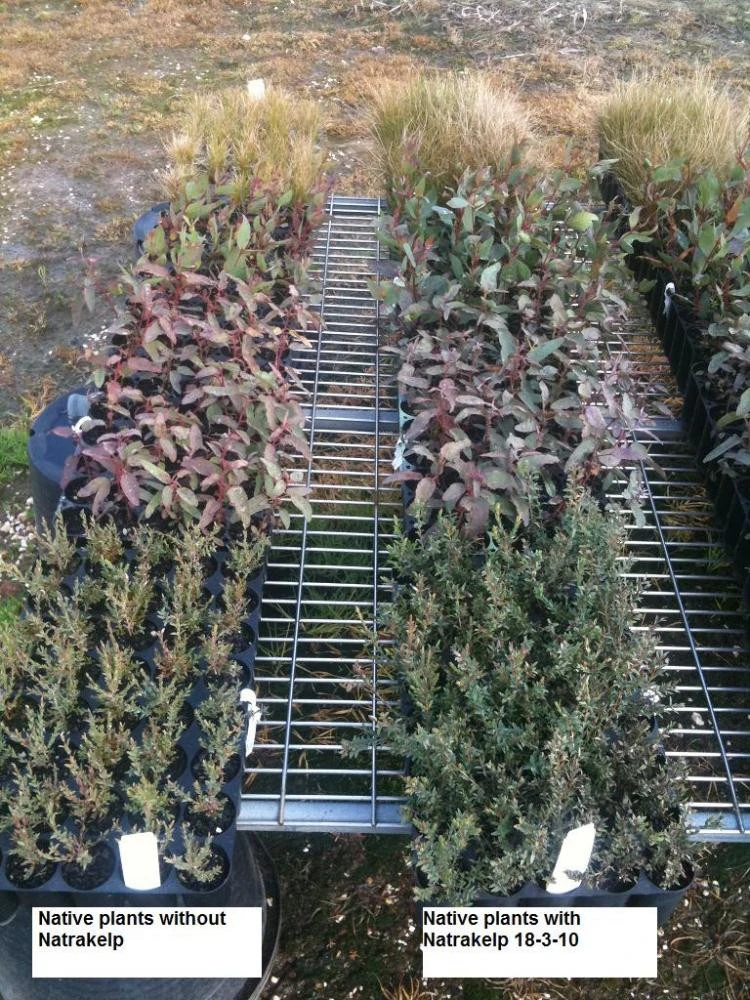 Natrakelp 18-3-10 - Image 3